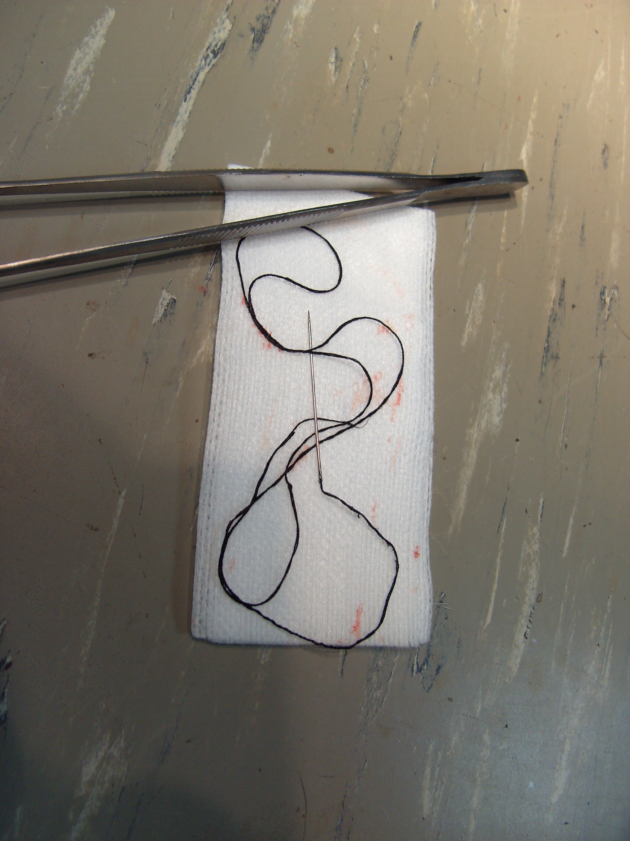 kat naald van doorn 015 2